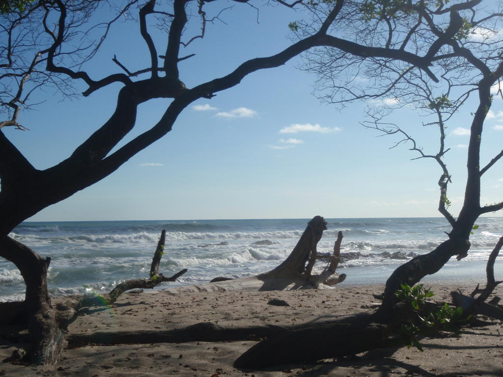 مال باييس Pachamama Tropical Garden Lodge المظهر الخارجي الصورة