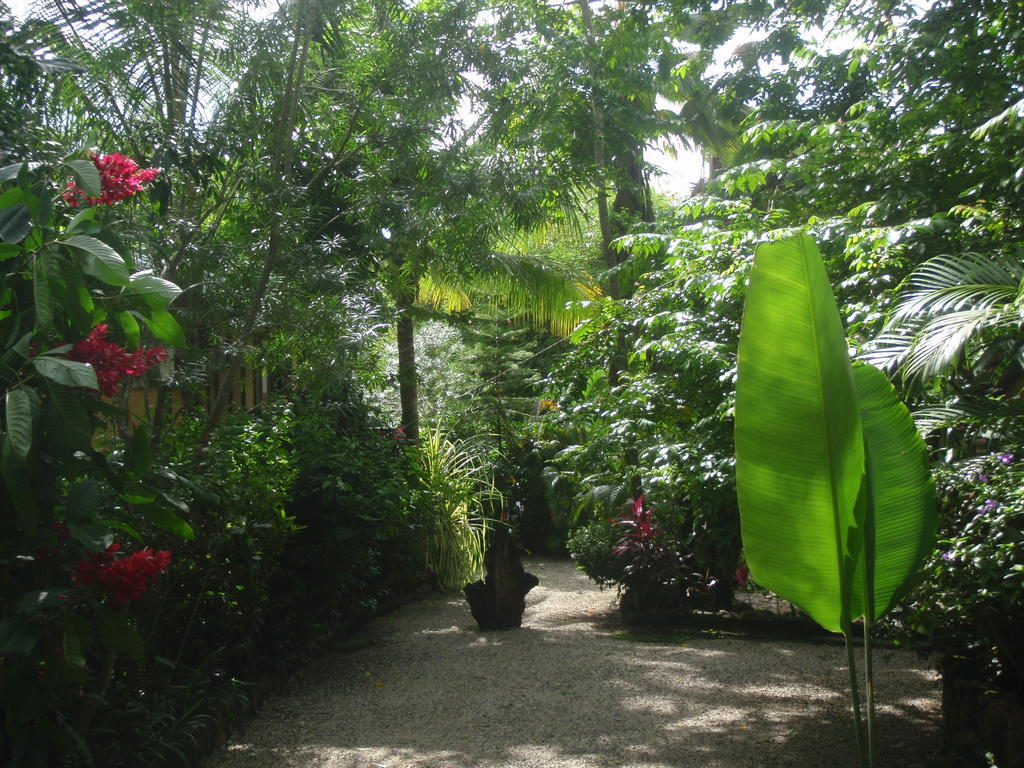 مال باييس Pachamama Tropical Garden Lodge المظهر الخارجي الصورة