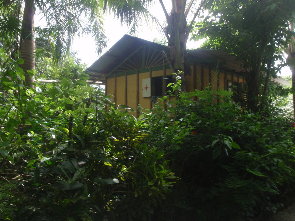 مال باييس Pachamama Tropical Garden Lodge الغرفة الصورة